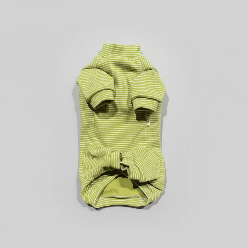 Pyjama pour teckel vert rayé avec manches longues et nœud décoratif