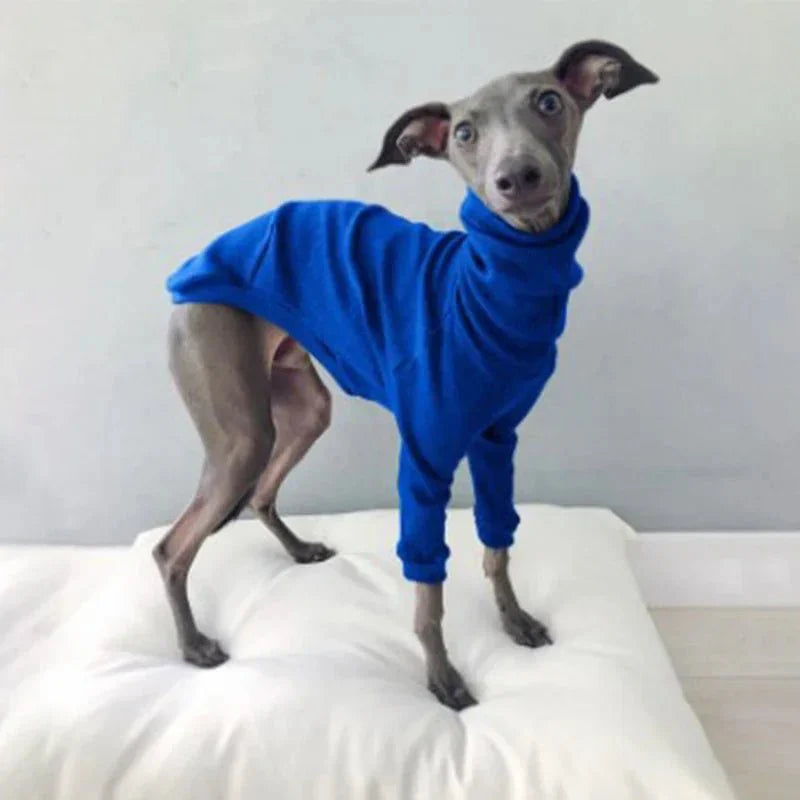 Pyjama pour Whippet