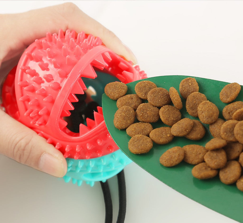 La balle pour chien anti-stress | BouncePup™
