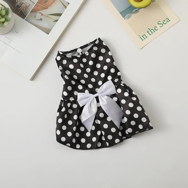 Robe pour Chat noir pois blanc