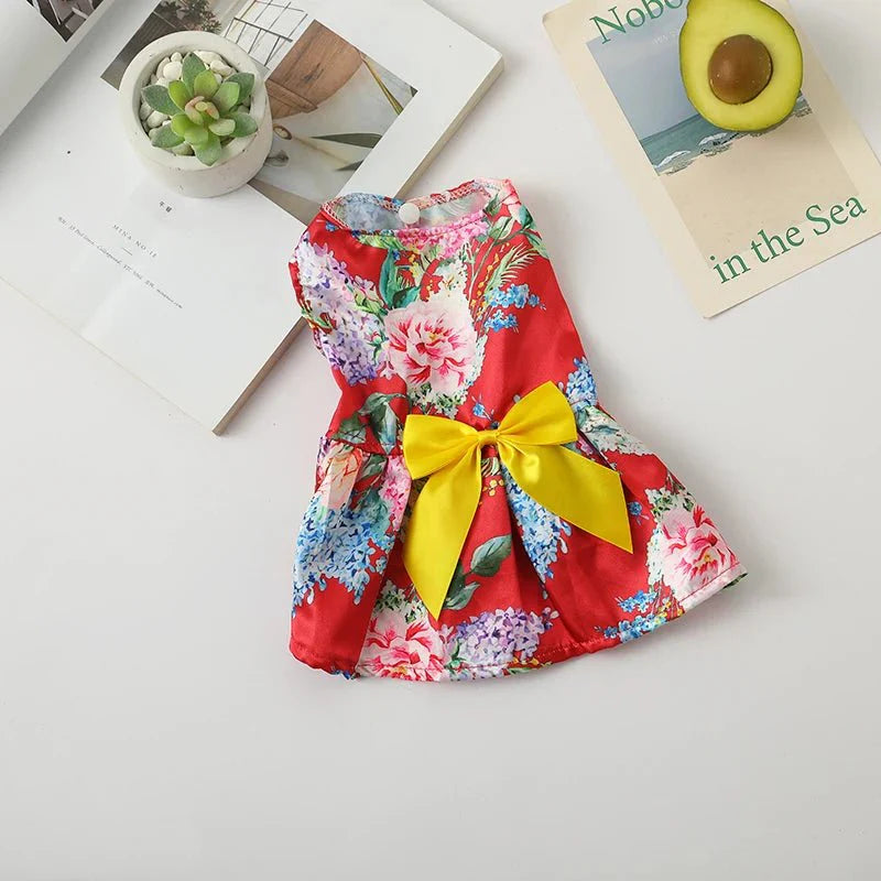 Robe à Fleurs pour Chat
