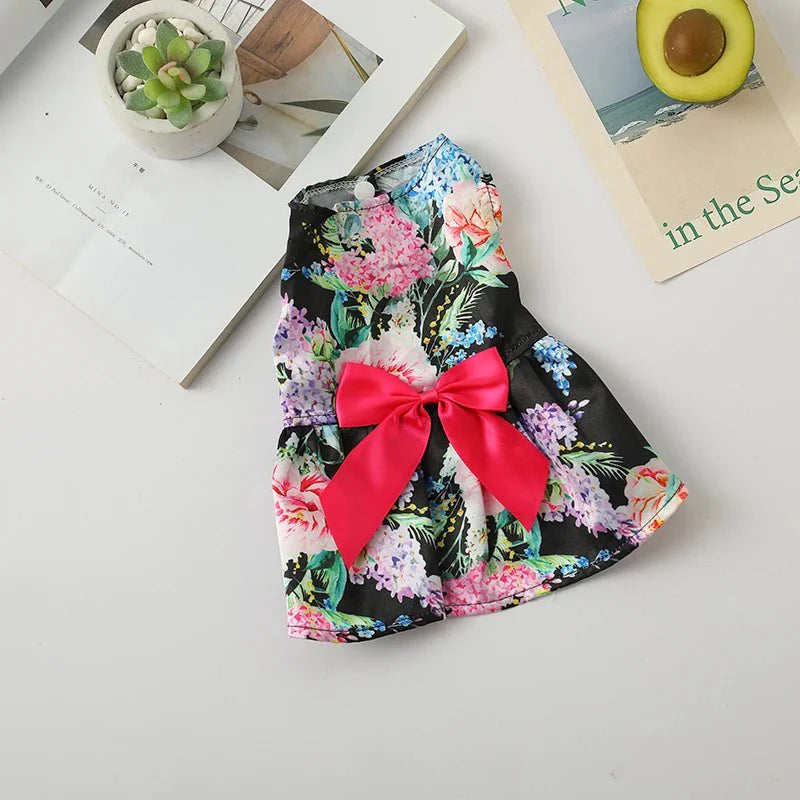 Robe à Fleurs pour Chat noir