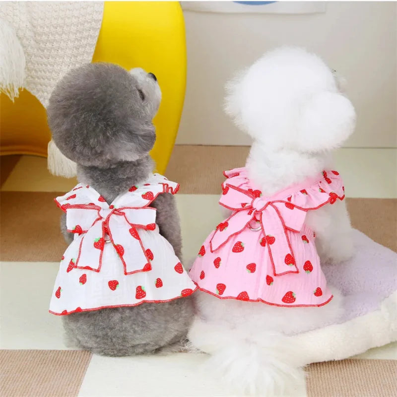 Robe Blanche / Rose pour Chien