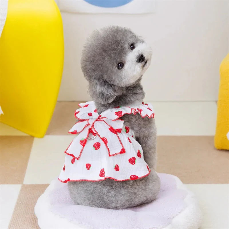 Robe Blanche / Rose pour Chien
