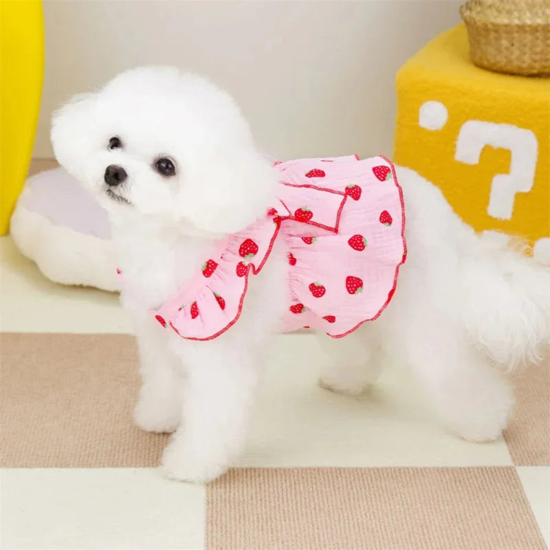 Robe Blanche / Rose pour Chien