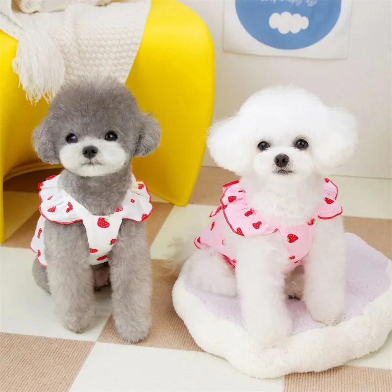 Robe Blanche / Rose pour Chien