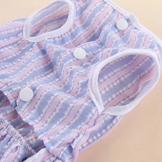 Robe Chat Femelle