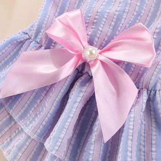 Robe Chat Femelle