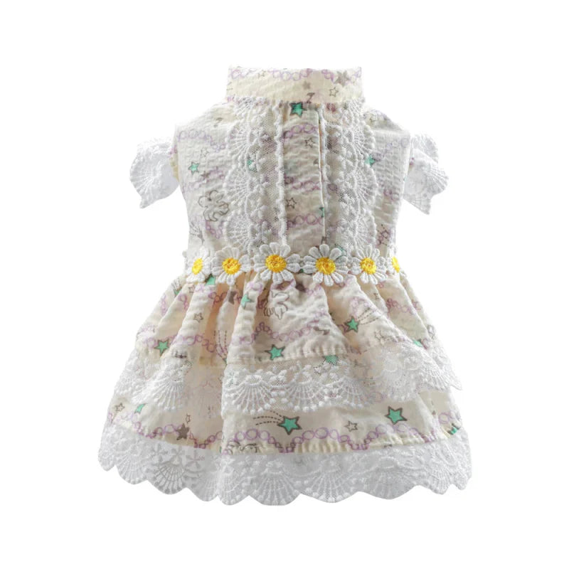 Robe Chat Pacretes