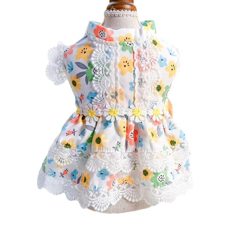 Robe Chat Sphynx