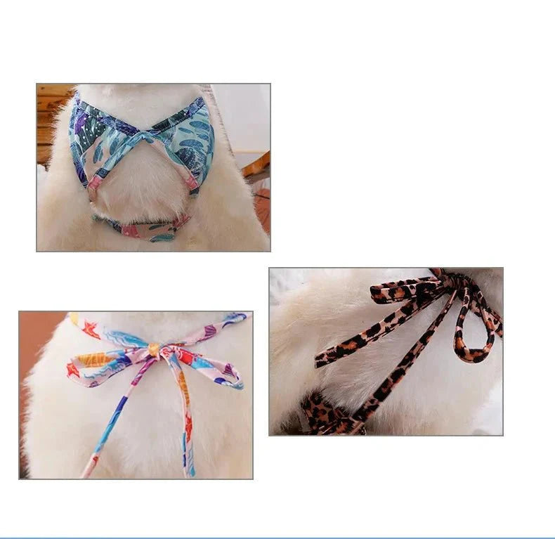 Robe Chien Léopard
