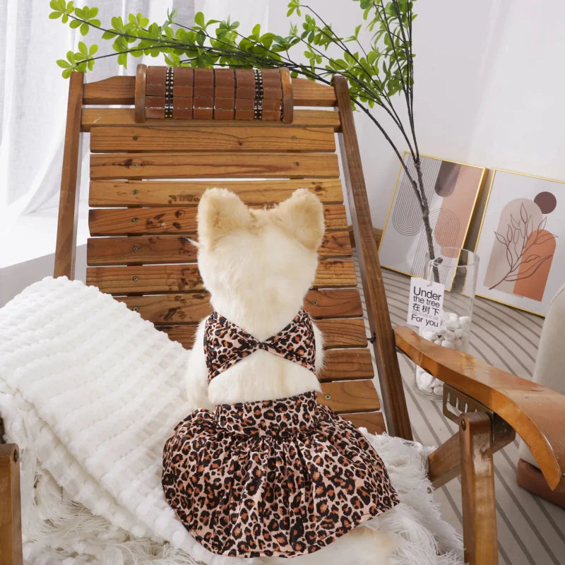 Robe Chien Léopard