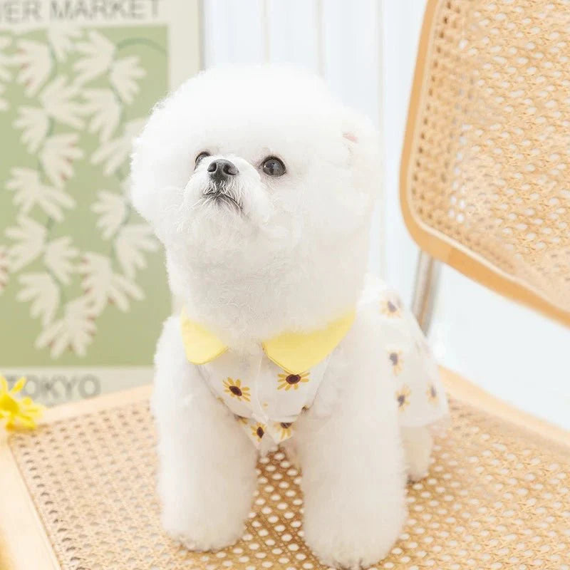 Robe Chien Original Tournesol