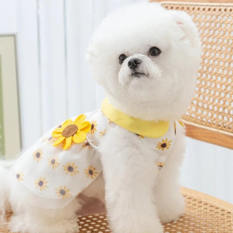 Robe Chien Original Tournesol