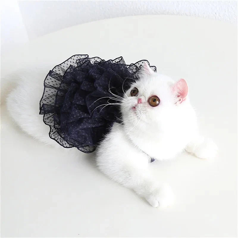 Robe de Mariée Chat