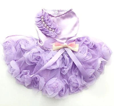Robe de Soirée Chien