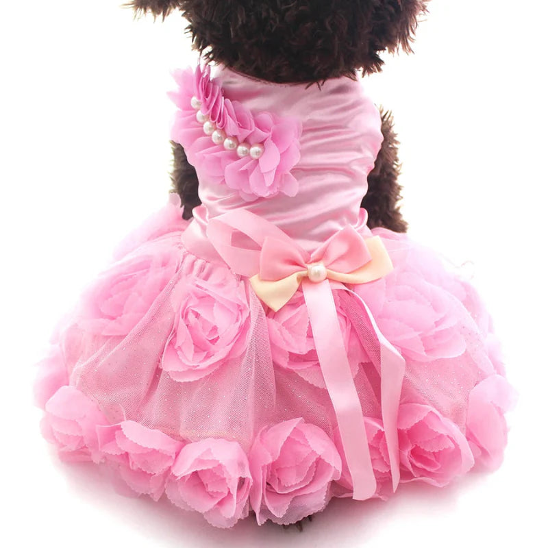 Robe de Soirée Chien