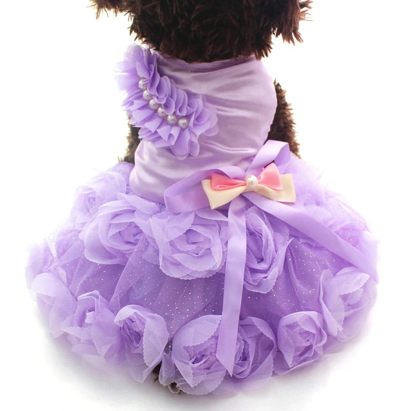 Robe de Soirée Chien