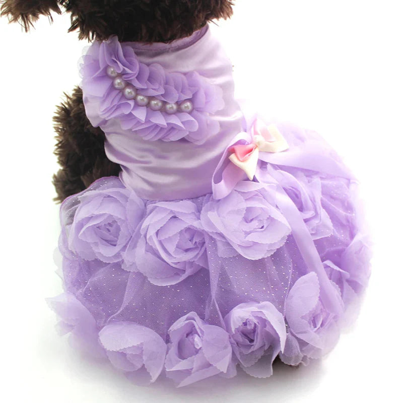 Robe de Soirée Chien
