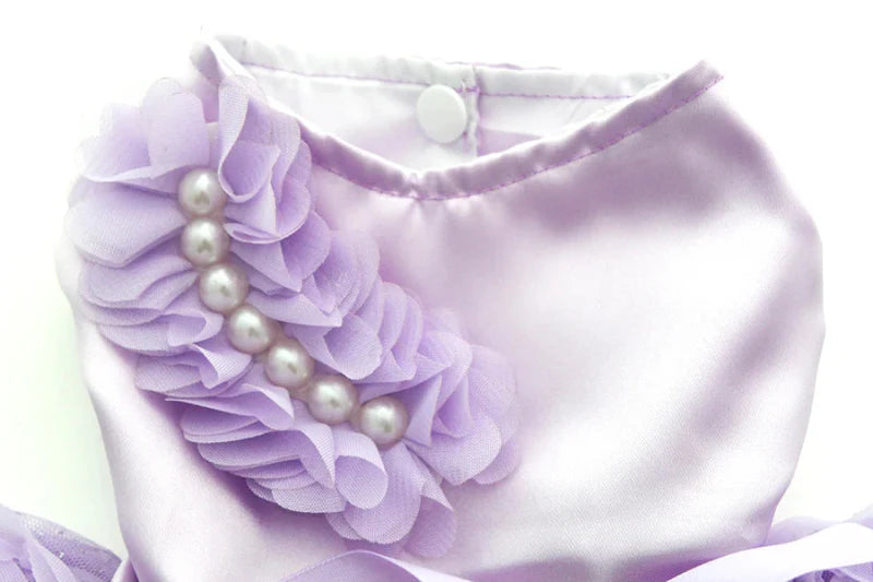 Robe de Soirée Chien