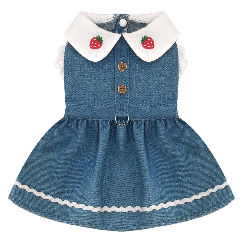 Robe Harnais Chien