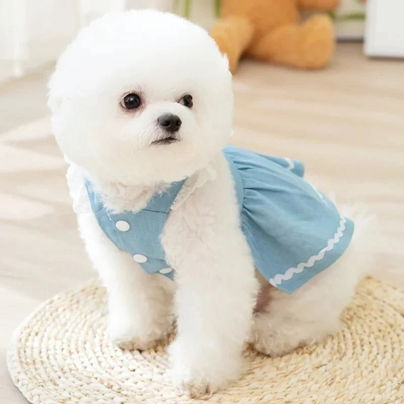 Robe Harnais Chien