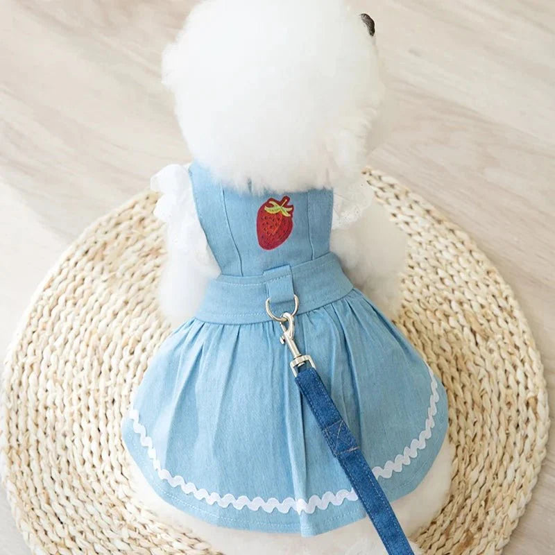 Robe Harnais Chien