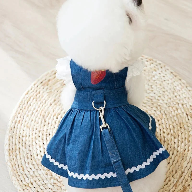 Robe Harnais Chien