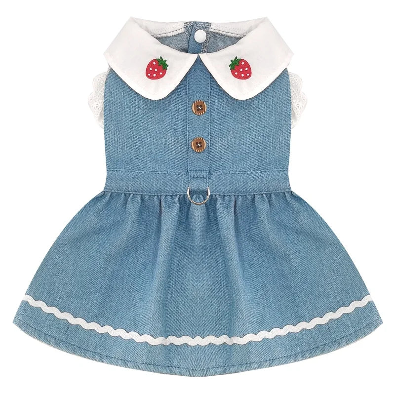 Robe Harnais Chien