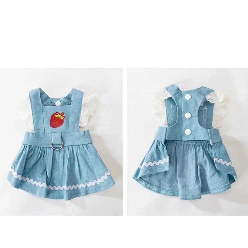 Robe Harnais Chien
