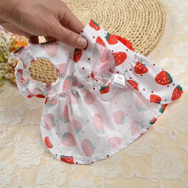 Robe Orange Chat