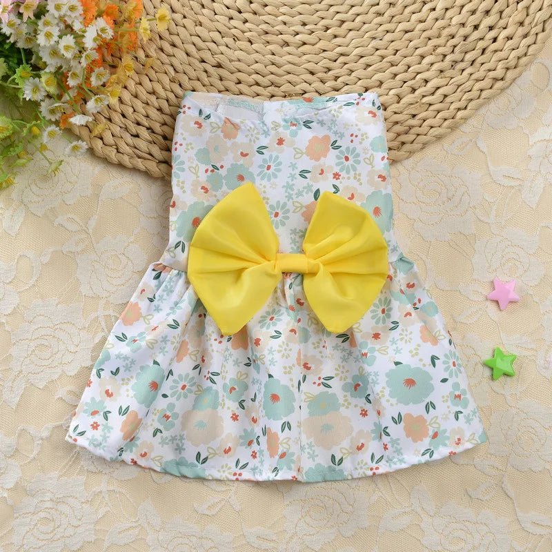 Robe Fleurale Blanche pour Chat