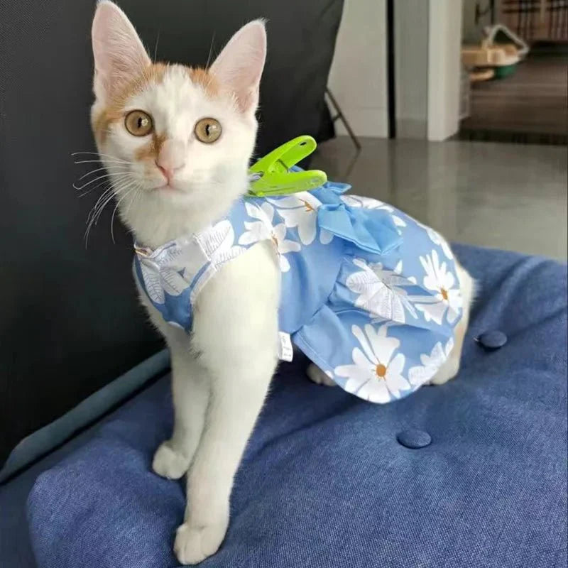 Robe Orange Chat
