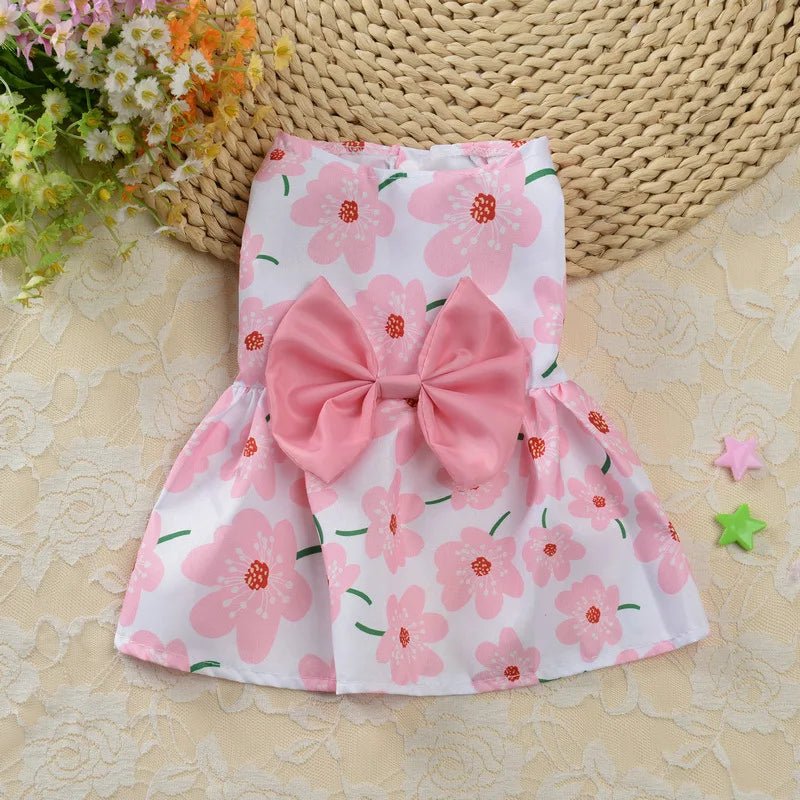Robe Orange Chat