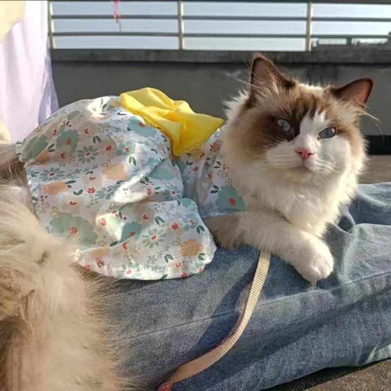 Robe Orange Chat