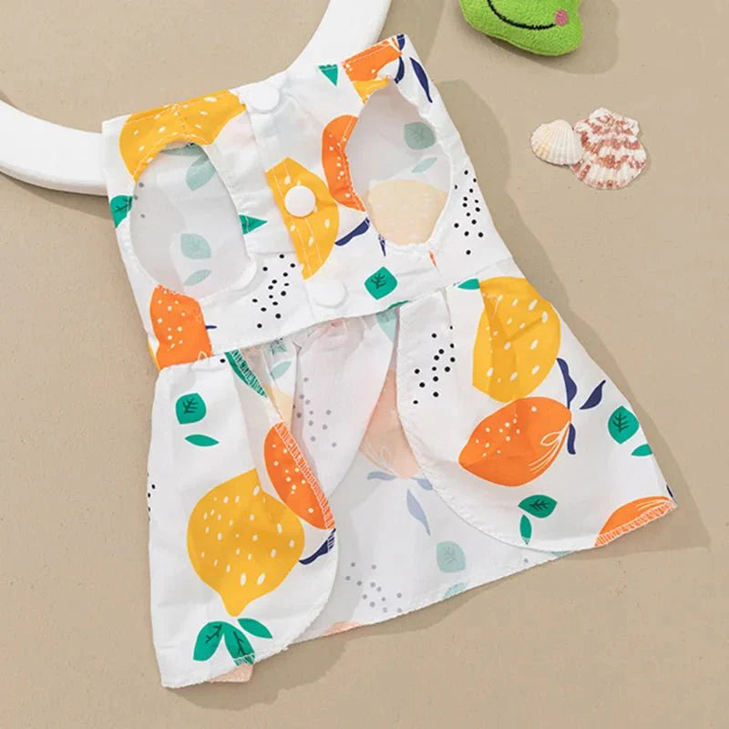 Robe Orange Chat