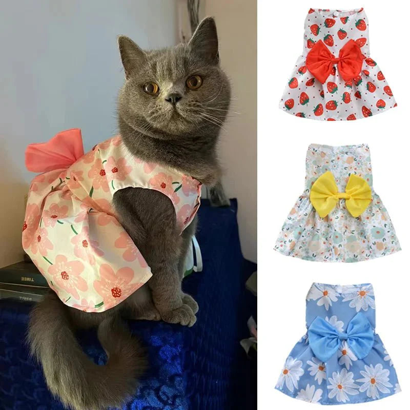 Robe Orange Chat