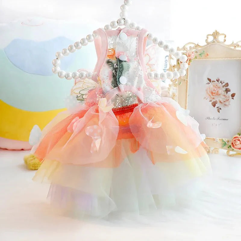 Robe Papillon Chien