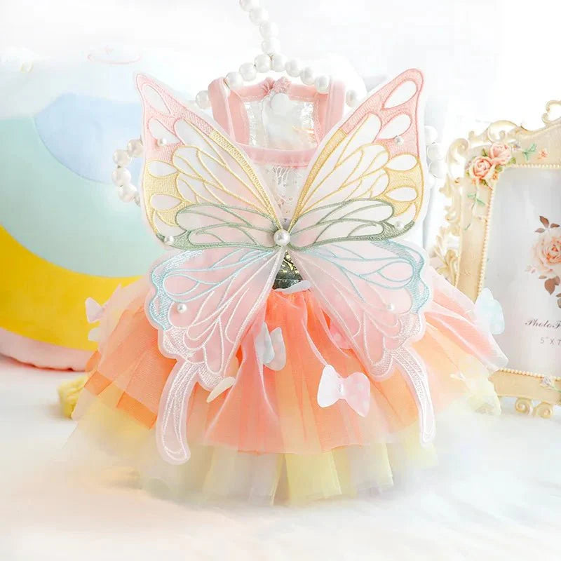 Robe Papillon Chien