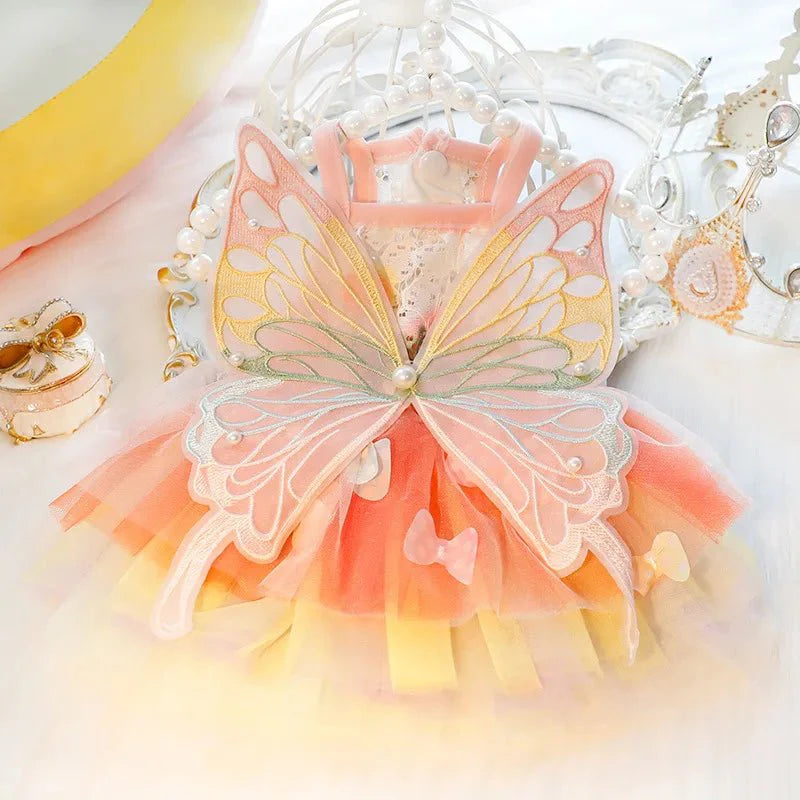 Robe Papillon Chien