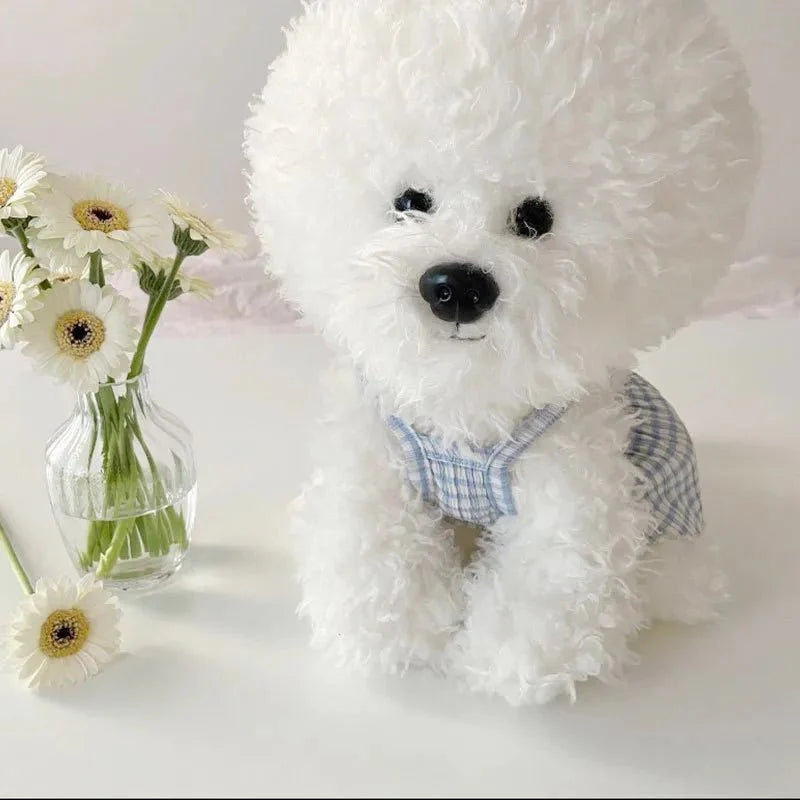 Robe pour Bichon