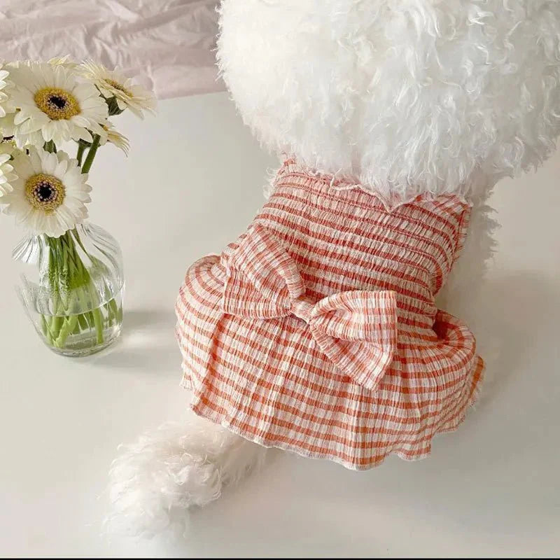 Robe pour Bichon