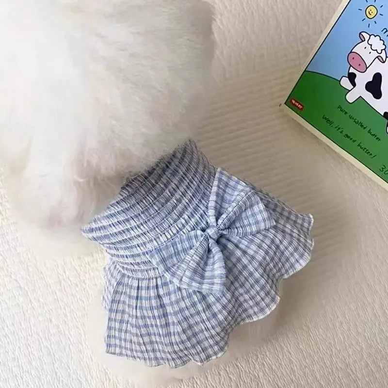 Robe pour Bichon