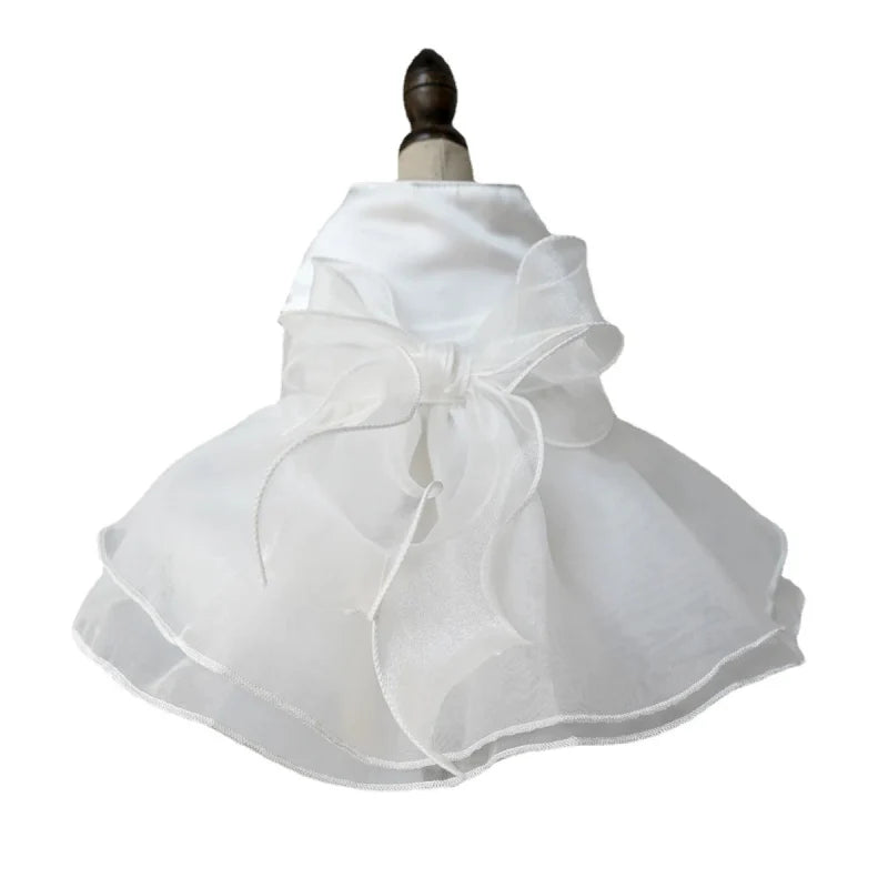 Robe pour Chien Mariage