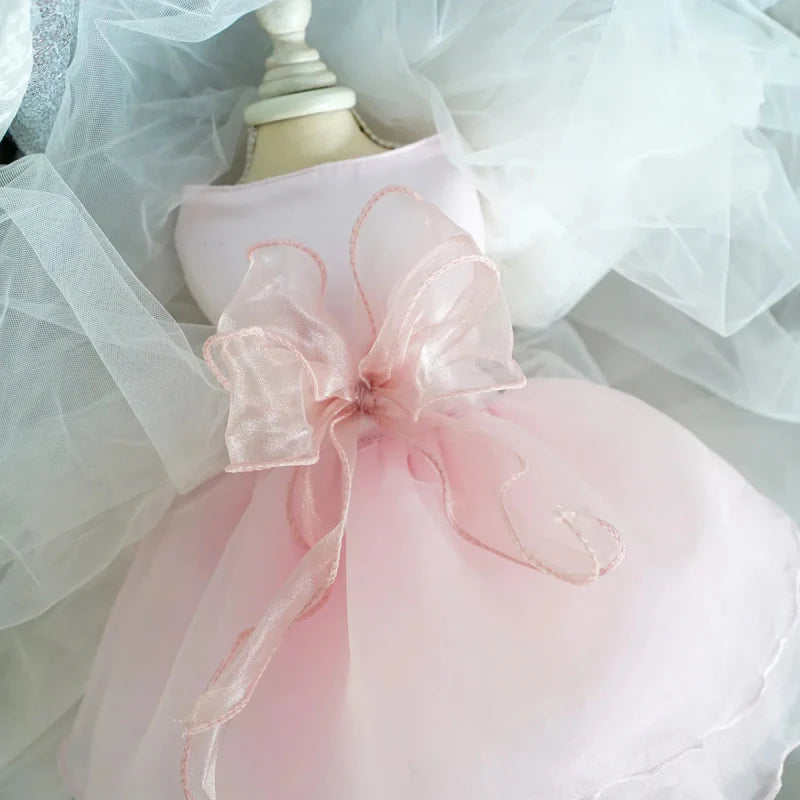 Robe pour Chien Mariage