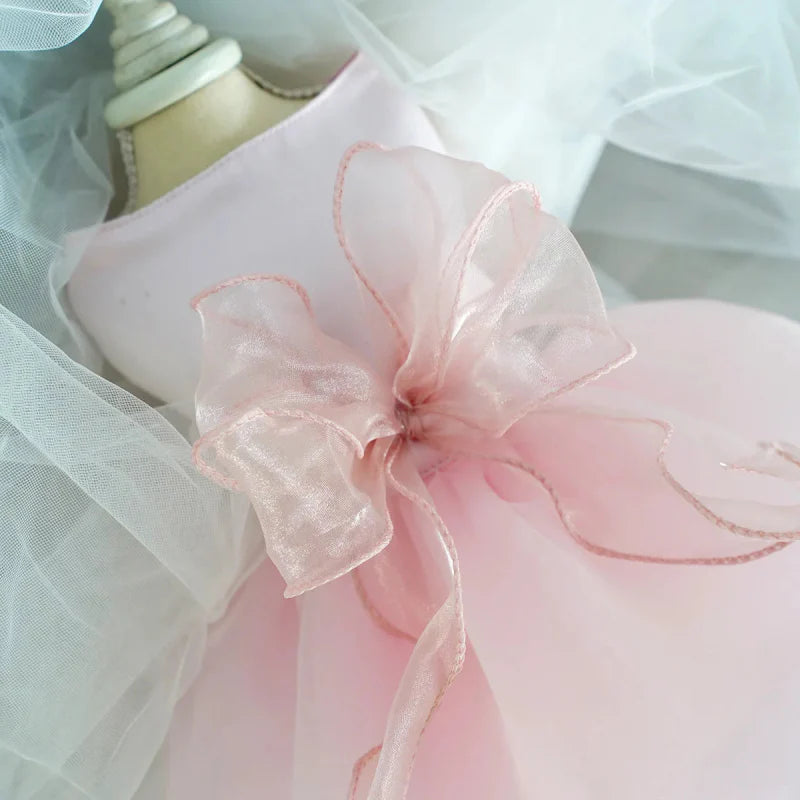 Robe pour Chien Mariage