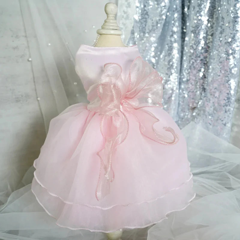 Robe pour Chien Mariage