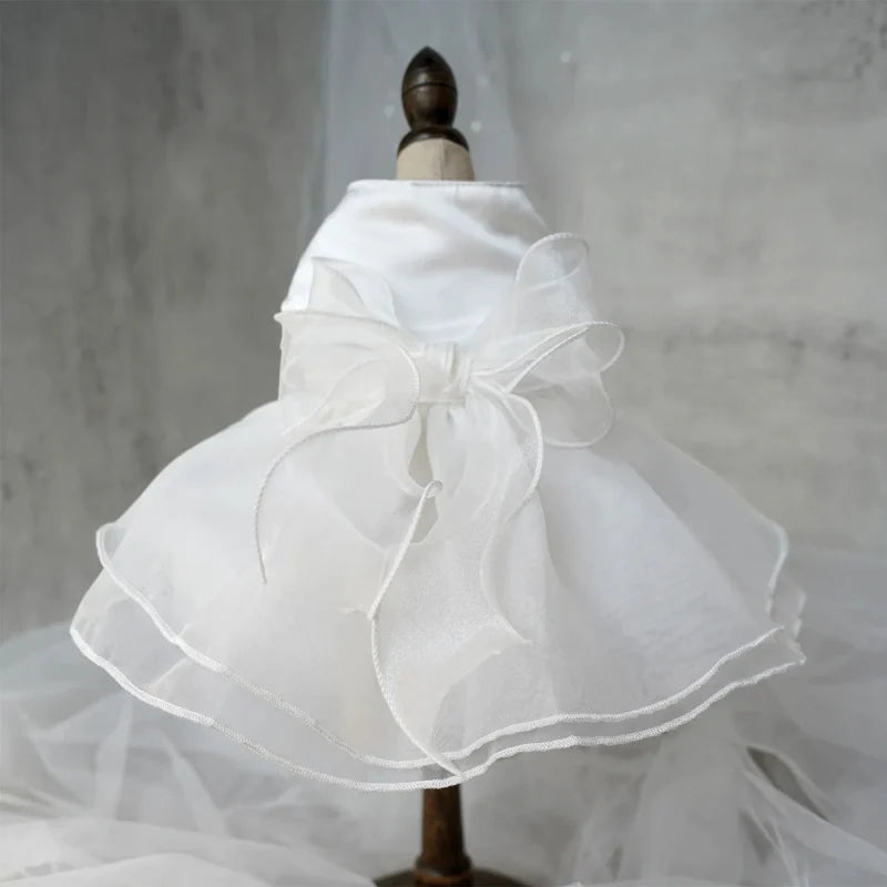 Robe pour Chien Mariage