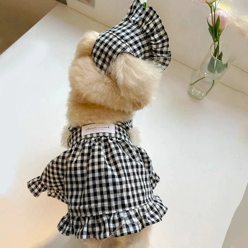 Robe pour Chihuahua