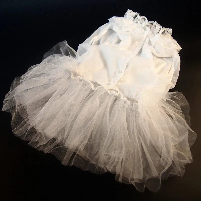 Robe pour Gros Chien